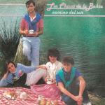 album image Camino del Sur Camino del Sur / Amor, Amor (Remasterizado) - Single