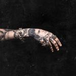album image Belly of the Beast (Official Video) Belly of the Beast - Single
