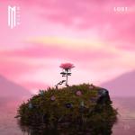 album image Homesick (feat. SOUNDR) Lost