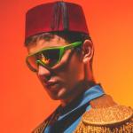 album image B.S.G. BEGEFENDİ