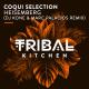 Coqui Selection » chilloutsound.com - Heisemberg (DJ Kone & Marc Palacios Remix) » chilloutsound.com