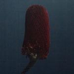 album image Sounds of Then (This Is Australia) Sounds of Then (This Is Australia) - Single