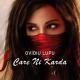 Ovidiu Lupu - Care Ni Karda (Punjabi Remix)