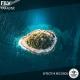 FILV - Lose Your Mind