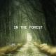 In The Forest - Acoustic Indie - LesFM
