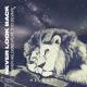 Oliver Heldens feat. Syd Silvair - Never Look Back (feat. Syd Silvair)