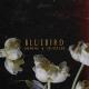 Undine x Trastler - Bluebird