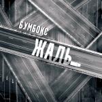 album image Жаль Жаль - Single