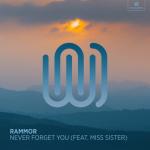 album image Never Forget You Never Forget You (feat. Miss Sister) - Single