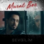 album image Sevgilim Sevgilim - Single