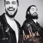 album image лилии Лилии - Single