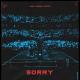 Alan Walker & ISAK - Sorry (Albert Vishi rmx)