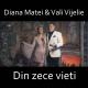 Diana Matei - Din zece vieti