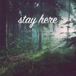 album image Stay here Stay Here - Single