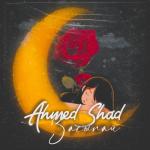 album image Засыпай Засыпай - Single