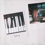 album image Sorry Sorry - Single