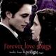 Michel Simone - Bella's Lullaby (From "The Twilight Saga: Twilight")