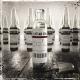 Lacuna Coil - End Of Time (Original Track)
