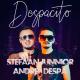 Stefaan Junnior feat. Andrei Despa - Despacito