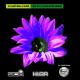 Miss Jane - Its a Fine Day (Dj Icey BreakBeat Mix)