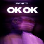 album image Ok Ok Ok Ok - Single