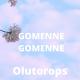 Unknown - GOMENNE GOMENNE