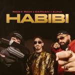 album image Habibi Habibi - Single