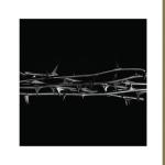 album image "Ogentroost" Malakai Black De Doorn