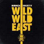 album image USA Wild Wild East