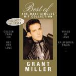 album image Wings Of Love Best Of - The Maxi-Singles Hit Collection