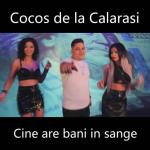 album image Cine are bani in sange Cine Are Bani in Sange - Single