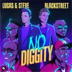 album image No Diggity No Diggity - Single