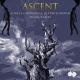 Alireza Ghorbani, Le Trio Joubran, Hesam Naseri feat. Habib Meftah - Ascent (feat. Habib Meftah)