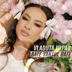 album image Bate Vantul Bate Bate Vantul Bate - Single