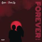 album image Forever (Remix) Forever (Remix)