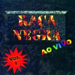 album image É Tarde Demais Raça Negra (Ao Vivo), Vol. 1