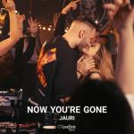 album image Now You're Gone Now You're Gone (feat. Jordan Rys) - Single