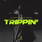 album image Trippin' Trippin' - Single