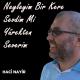 Hacı NAYİR - Dayan Be Gönlüm Biçare Değilsin
