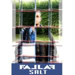 album image Instrumental Salt