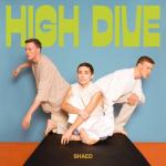 album image I Know Nothing High Dive