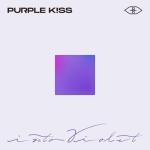 album image Ponzona INTO VIOLET