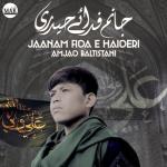 album image Jaanam Fida E Haideri Jaanam Fida E Haideri - Single