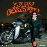 album image BABY GODDAMN BABY GODDAMN - Single