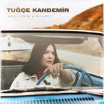 album image Ah Ellerim Kırılaydı Ah Ellerim Kırılaydı - Single