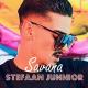 Stefaan Junnior - Savana