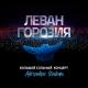 Леван Горозия - Поезд в огне