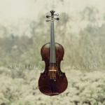 album image A Necessary End Ganglion