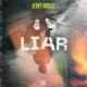 Henry Himself - LIAR