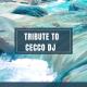 Simone Lupino - tribute to cecco dj